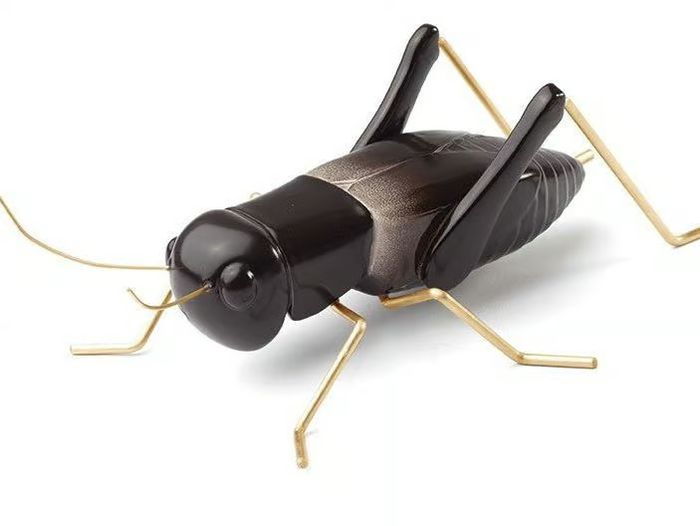 CRICKET BLACK - Contemporary style ceramic decorative object _ Mambo Unlimited Ideas